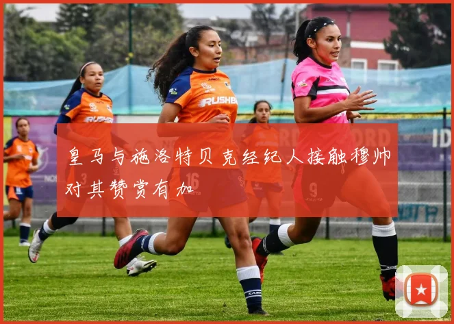 皇马与施洛特贝克经纪人接触穆帅对其赞赏有加