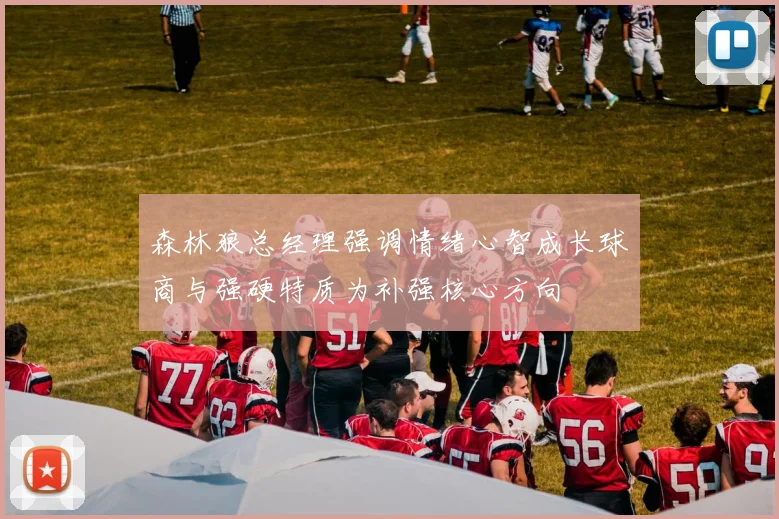森林狼总经理强调情绪心智成长球商与强硬特质为补强核心方向